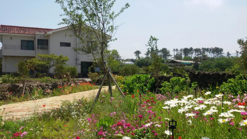 Willa Baghdad House Czedżu Zewnętrze zdjęcie